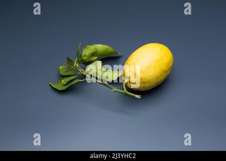 yellow lemon on gray background, composition of lemons and green leaves. Stock Photo