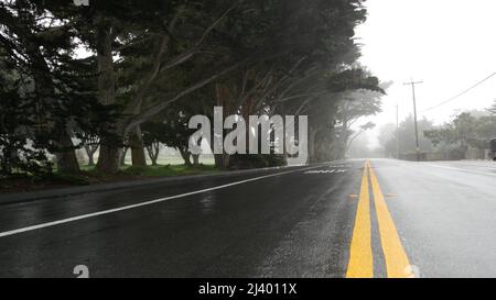 Wet road asphalt in fog, misty mysterious forest. Row of trees in foggy rainy weather, calm haze in Monterey, California USA. Tranquil atmosphere. Moody gloomy road trip, yellow dividing line marking. Stock Photo