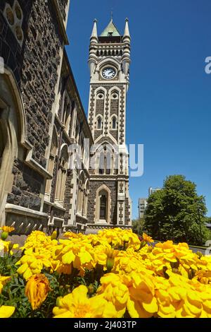 Clock Tower, Registry Building, University of Otago, Dunedin, South Island, New Zealand Stock Photo