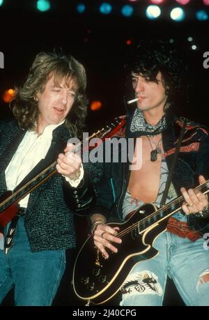 人気ブランド 海外通販 - 国内入手困難 aerosmith-in-concert-at-the- 洋楽