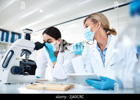 Studying the effects of new medicines and treatments. Shot of two scientists working together in a lab. Stock Photo