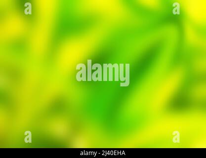 natural defocused floral green background Stock Photo
