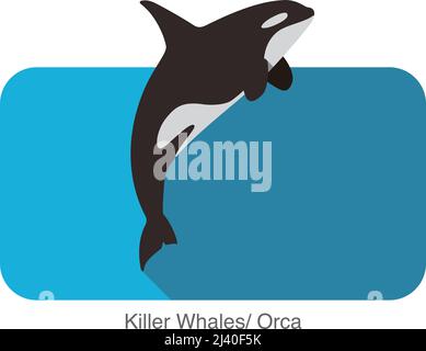 Killer Whale jumping in the sea flat icon design, vector illustration Stock Vector