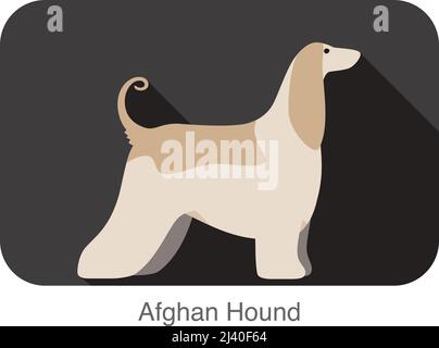 Afghan Hound dog breed flat icon design, vector illustration Stock Vector