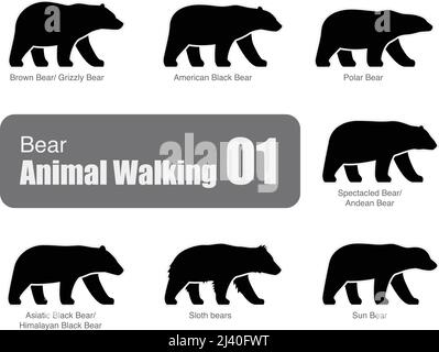 American black bear walking side flat 3D icon design, vector illustration Stock Vector