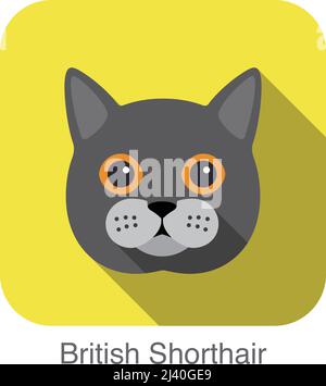 British Shorthair, Cat breed face cartoon flat icon design Stock Vector