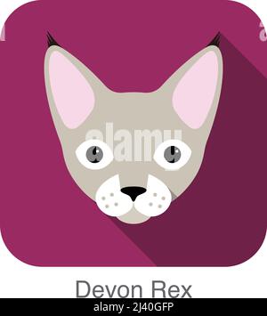 devon rex cat cute pet line icon vector illustration Stock Vector Image ...