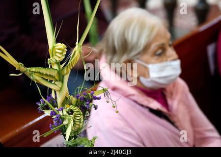 Non Exclusive: MEXICO CITY, MEXICO - APR 10, 2022: Parishioners attend at Palm Sunday mass at the Metropolitan Cathedral to to bless their palm arrang Stock Photo