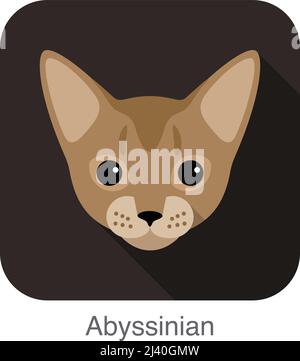 Abyssinian, Cat breed face cartoon flat icon design Stock Vector