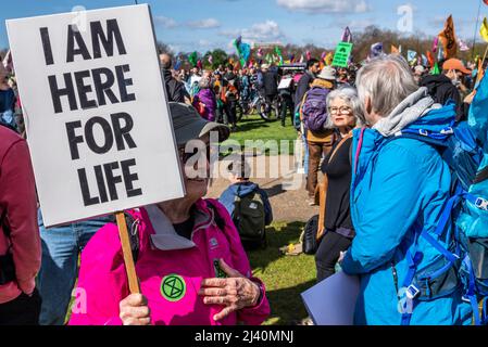 Extinction Rebellion protesters launching a period of civil disruption in London from the 9 April 2022. Senior female with placard. Here for life Stock Photo