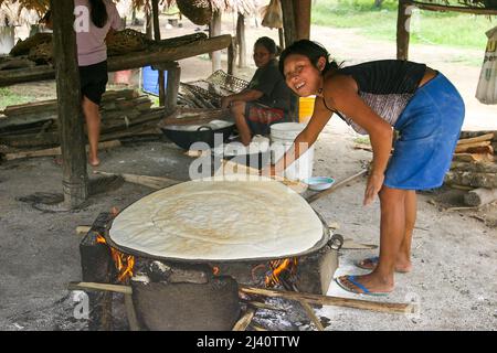 Surinam, a woman is baking cassava bread or cake in the kitchen of her house in Tepu, a Trio tribe, indian village in the Amazon. Stock Photo