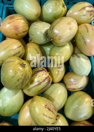 Stack of Fresh Pepino Melon Fruit for Sale at Market. Solanum Muricatum. Ready to Eat. Stock Photo