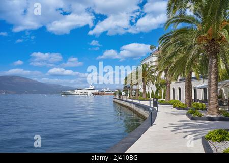 Luxurious promenade of Porto Montenegro with palm trees Stock Photo