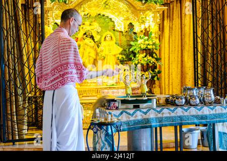 Inis Rath, Northern Ireland.  28th February 2010.  A Hare Krishna devotee pours milk, ghee and honey over statues of Krishna and Vishnu at the annual Abhisheka Ceremony. Stock Photo