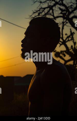 sunset pictures of some person standing behind a trees and a powerline crossing from one and to the other, you can see some houses in the village. Stock Photo