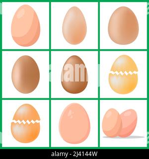 chicken eggs set. Vector illustration isolated on white background Stock Vector