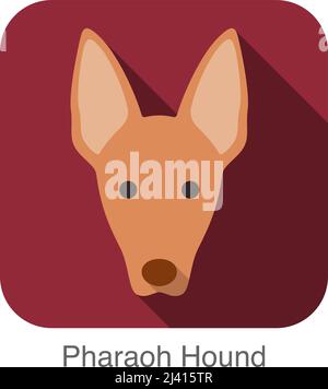 Pharaoh Hound dog face flat icon Stock Vector