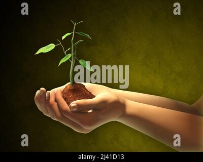 Female hands holding some soil and a seedling. Digital illustration. Clipping path included to separate hands and seedling from background Stock Photo