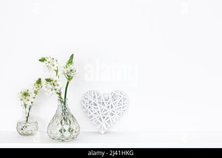 Spring flowers in glass vases isolated on white background. Stock Photo