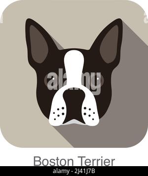 Boston terrier dog character, dog breed cartoon image series Stock Vector