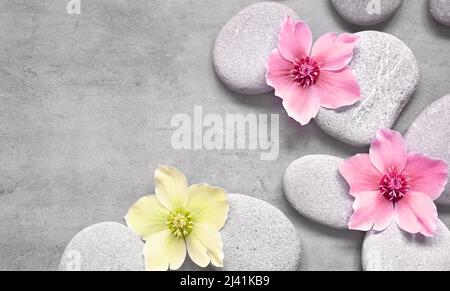 Spa stones and pink flowers on the grey background. Spa concept. Stock Photo
