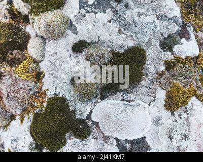 Texture of old stone close up. Natural background with stone pattern, moss and bumps from wind and water.  Stock Photo