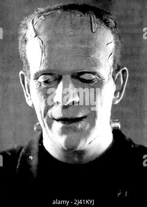 BORIS KARLOFF in THE BRIDE OF FRANKENSTEIN (1935), directed by JAMES WHALE. Credit: UNIVERSAL PICTURES / Album Stock Photo