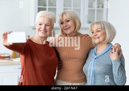 Cheerful senior ladies taking selfie together, using smartphone Stock Photo