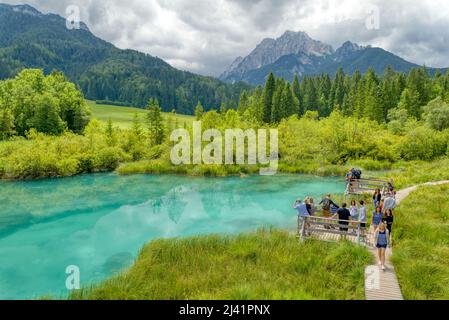 Zelenci Natural Reserve in Slovenia. Aerial Drone View at Fall Colors ...