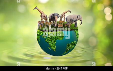 World Wildlife Day Concept Nature reserve conserve Wildlife reserve tiger Deer Global warming Food Loaf Ecology Human hands Stock Photo