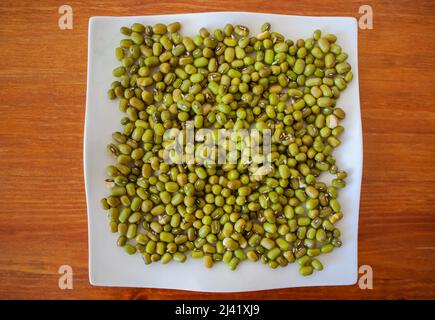 Sprouting mung beans at home Sprouted green gram on white plate on wooden background isolated top down view Growing beans sprouts