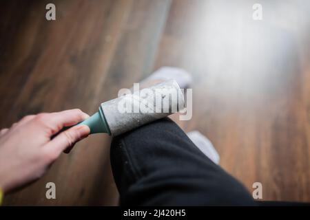 Closeup woman use lint roller on black trousers Person using sticky lint roller  at home Sitting young woman cleaning clothes with lint roller in room Stock Photo