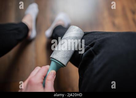 Woman cleaning black clothes with lint roller or sticky roller from grey  cats hair. Clothes in pet fur Stock Photo - Alamy