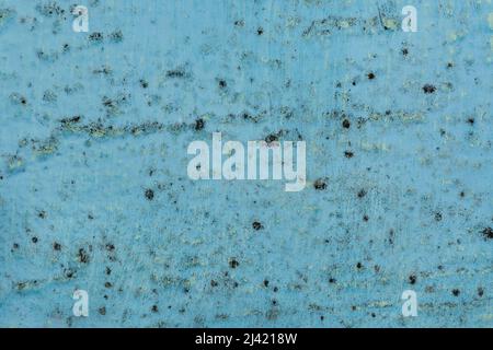 Black spots of fungal bacteria and mold on a blue wall in a house or apartment. The concept of excessive humidity, improper air exchange and condensation. Poor ventilation. Soft focus. Stock Photo