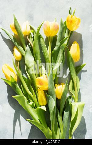 Tulips on light background Stock Photo
