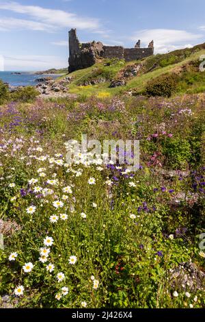 Dunure castle ruins, Ayrshire, Scotland Stock Photo