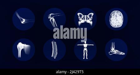 Bones anatomy set. Collection of images of human joints and bones Stock Vector