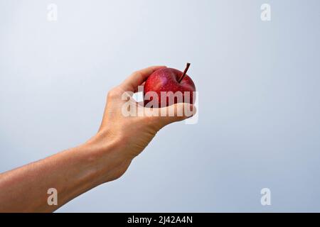 Red apple on hand in a bright background Stock Photo