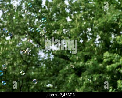 Soap bubbles on green nature background. Stock Photo