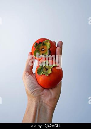 Persimmons on hand in a bright background Stock Photo