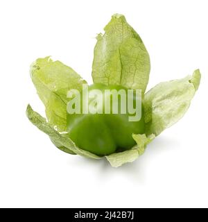 Single fresh green tomatillo in a husk isolated on white background Stock Photo