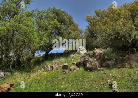 View of the Big Jupta the Golan Heights, pit crater in Odem Forest, Northern Israel Stock Photo