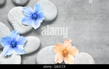 Spa stones and blue flowers on the grey background. Spa concept. Stock Photo