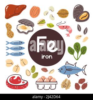 Food products with high level of Iron. Cooking ingredients. Meat, vegetables, nuts, legumes, seeds, seafood. Stock Vector