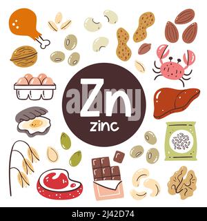 Food products with high level of Zinc. Cooking ingredients. Meat, chocolate, legumes, grain, nuts, seafood. Stock Vector