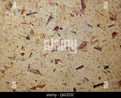 Handmade recycled paper texture background Stock Photo