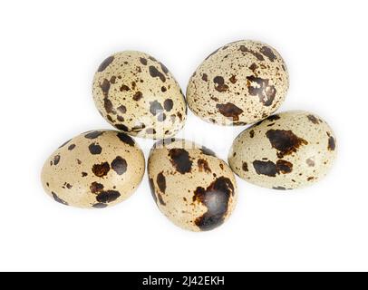 Quail eggs isolated on white background. Directly above Stock Photo