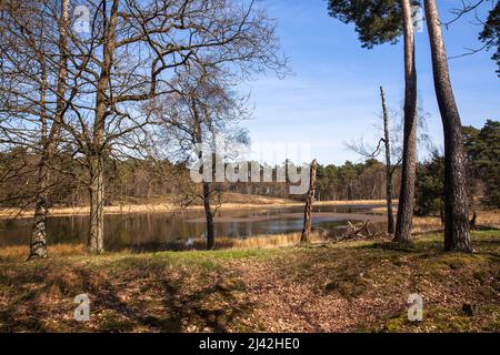 the lake Schwarzes Wasser (black water) in the nature park Hohe Mark near Wesel, largest heath lake on the lower Lower Rhine, North Rhine-Westphalia, Stock Photo