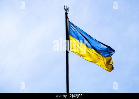Ukrainian flag in the rays of the rising sun on a background of sky. Blue and yellow national flag of Ukraine on a flagpole and coat of arms of Ukrain Stock Photo