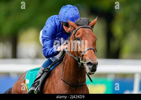 File photo dated 11-07-2020 of Master Of The Seas, last year's Qipco 2000 Guineas runner-up, makes his return in the bet365 Earl Of Sefton Stakes at Newmarket, trying nine furlongs for the first time at a track he is yet to finish outside of the first three. Issue date: Monday April 11, 2022. Stock Photo